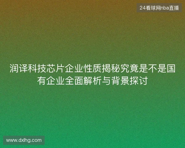 润译科技芯片企业性质揭秘究竟是不是国有企业全面解析与背景探讨